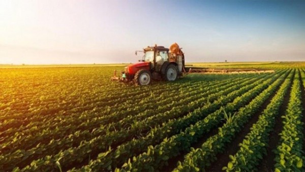 Gelir Vergisi İadesi Kimleri Kapsıyor? Vergi İadesi Ne Kadar?